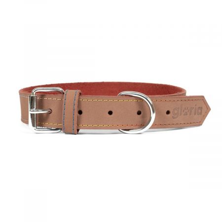 Hondenhalsband Gloria Oasis Bruin (1,2 x 35 cm)