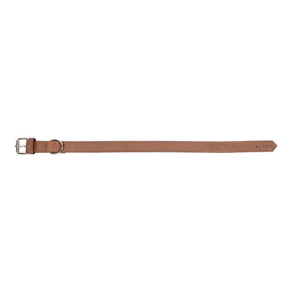 Hondenhalsband Gloria Oasis Bruin (1,2 x 35 cm)