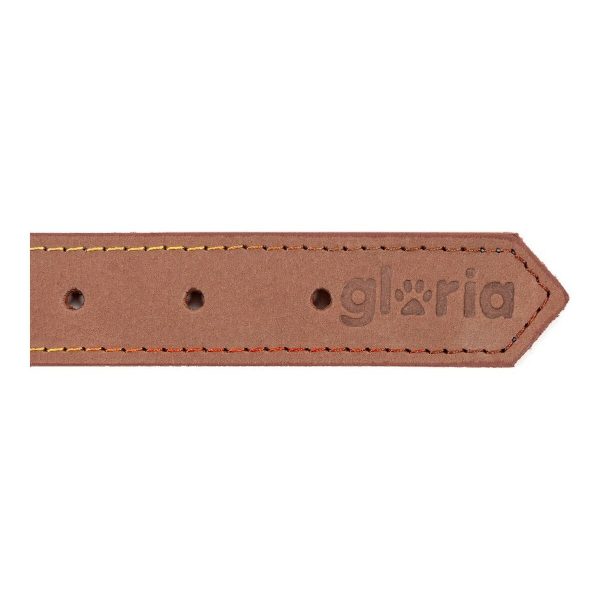 Hondenhalsband Gloria Oasis Bruin (1,2 x 35 cm)