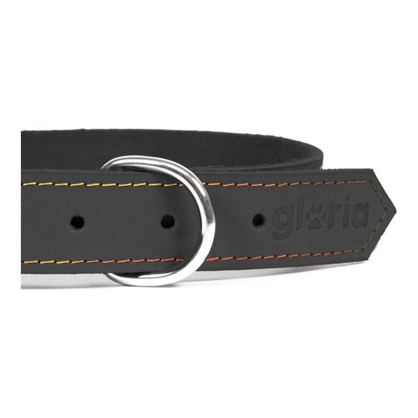 Hondenhalsband Gloria Oasis Zwart (1,2 x 35 cm)