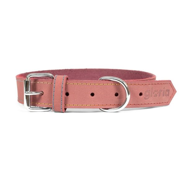 Hondenhalsband Gloria Oasis Roze (1,2 x 35 cm)