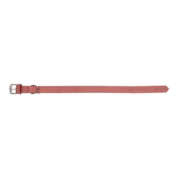 Hondenhalsband Gloria Oasis Roze (1,2 x 35 cm)
