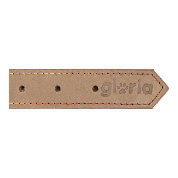 Hondenhalsband Gloria Oasis Wit (1,5 x 40 cm)