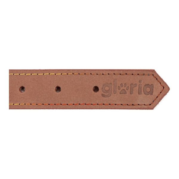 Hondenhalsband Gloria Oasis Bruin (40 x 1,5 cm)