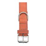 Hondenhalsband Gloria Oasis Rood (1,5 x 40 cm)
