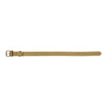 Hondenhalsband Gloria Oasis Groen (40 x 1,5 cm)