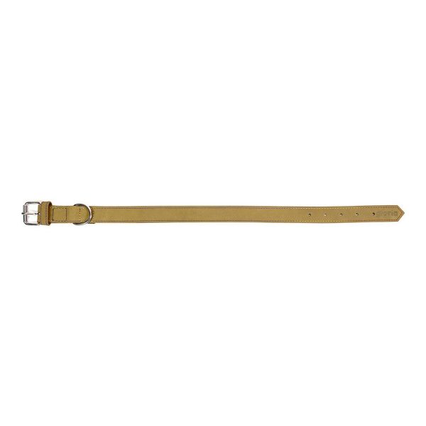 Hondenhalsband Gloria Oasis Groen (40 x 1,5 cm)