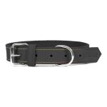 Hondenhalsband Gloria Oasis Zwart (45 x 1,8 cm)