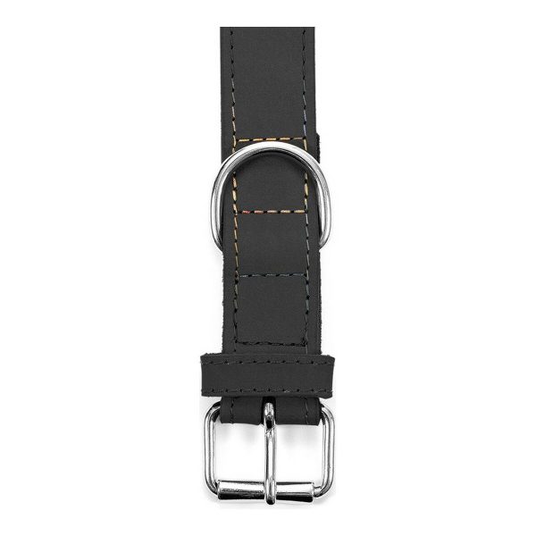 Hondenhalsband Gloria Oasis Zwart (45 x 1,8 cm)