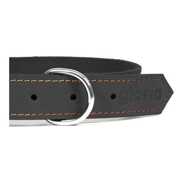 Hondenhalsband Gloria Oasis Zwart (45 x 1,8 cm)