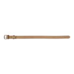 Hondenhalsband Gloria Oasis Wit (50 x 2,1 cm)