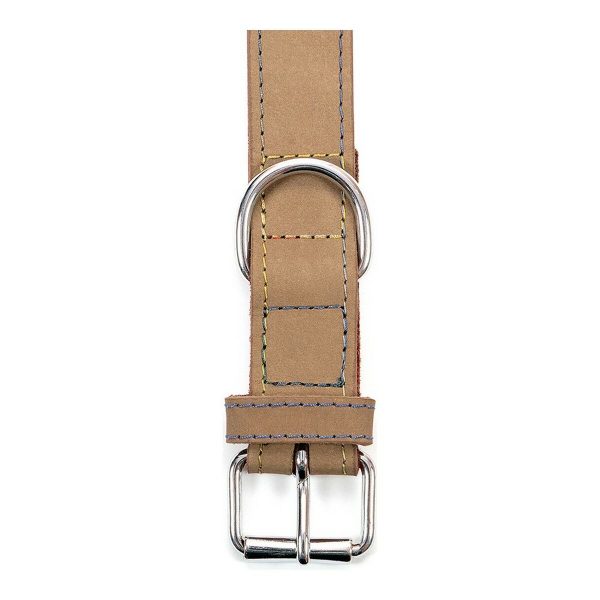 Hondenhalsband Gloria Oasis Wit (50 x 2,1 cm)