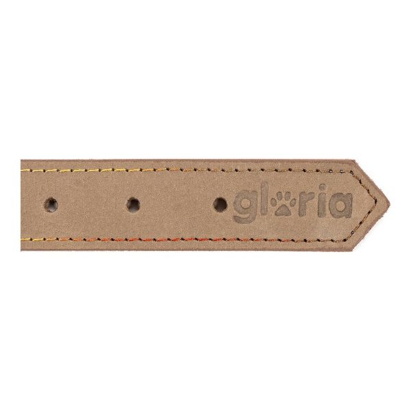 Hondenhalsband Gloria Oasis Wit (50 x 2,1 cm)