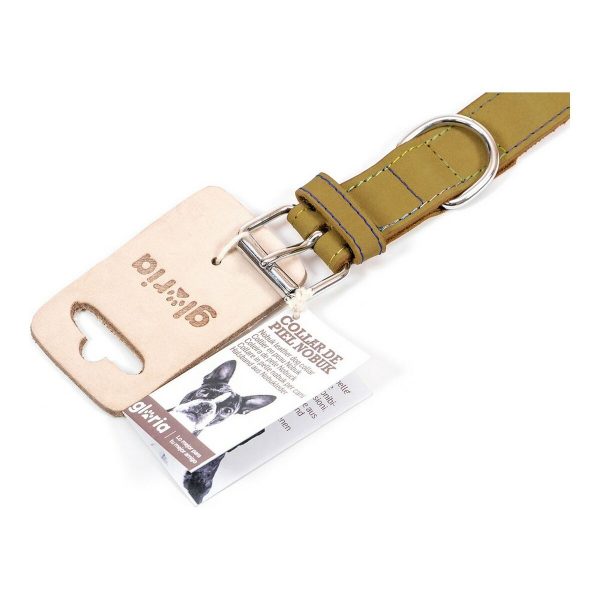 Hondenhalsband Gloria Oasis Groen (50 x 2,1 cm)