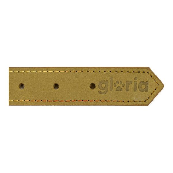 Hondenhalsband Gloria Oasis Groen (50 x 2,1 cm)