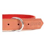 Hondenhalsband Gloria Oasis Rood (60 x 3 cm)