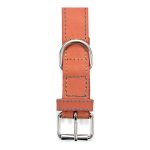 Hondenhalsband Gloria Oasis Rood (60 x 3 cm)