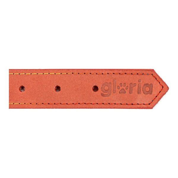 Hondenhalsband Gloria Oasis Rood (60 x 3 cm)