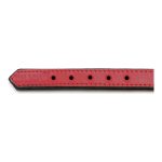 Hondenhalsband Gloria Gestoffeerd Rood (35 cm) (35 x 1,5 cm)