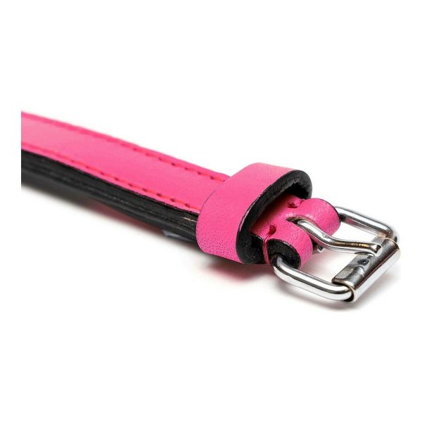 Hondenhalsband Gloria Gestoffeerd Fuchsia (30 cm) (30 x 1,5 cm)
