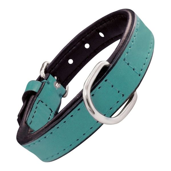Hondenhalsband Gloria Gestoffeerd turquoise (50 cm) (50 x 2,5 cm)