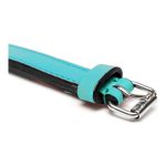 Hondenhalsband Gloria Gestoffeerd turquoise (50 cm) (50 x 2,5 cm)