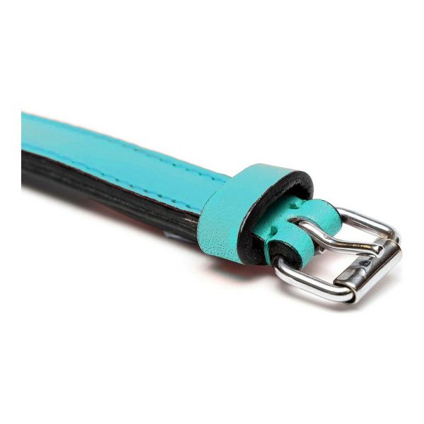 Hondenhalsband Gloria Gestoffeerd turquoise (50 cm) (50 x 2,5 cm)