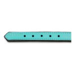 Hondenhalsband Gloria Gestoffeerd turquoise (50 cm) (50 x 2,5 cm)
