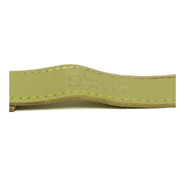 Hondenriem Gloria Oasis 3 x 60 cm Groen