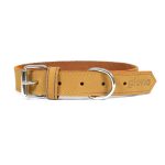 Hondenhalsband Gloria Oasis Geel (1,5 x 40 cm)