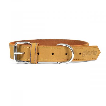 Hondenhalsband Gloria Oasis Geel (1,5 x 40 cm)