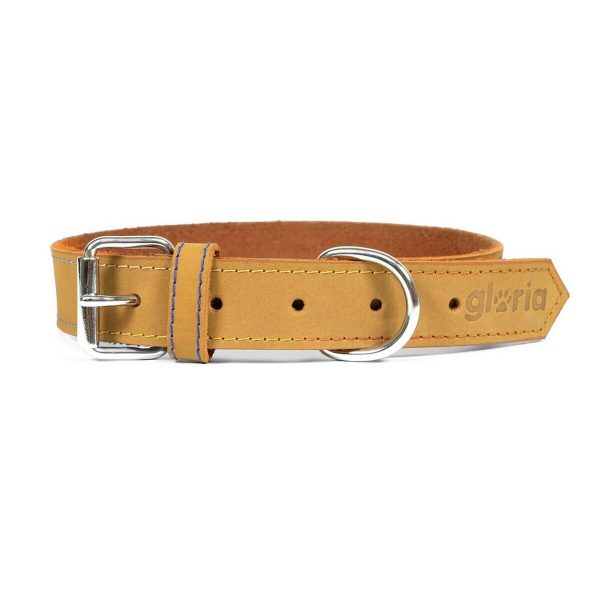 Hondenhalsband Gloria Oasis Geel (1,5 x 40 cm)