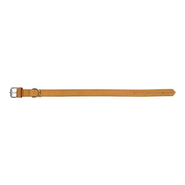 Hondenhalsband Gloria Oasis Geel (1,5 x 40 cm)