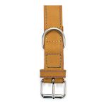 Hondenhalsband Gloria Oasis Geel (1,5 x 40 cm)