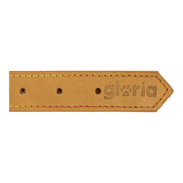 Hondenhalsband Gloria Oasis Geel (1,5 x 40 cm)