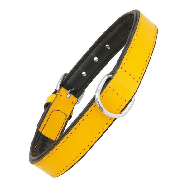 Hondenhalsband Gloria Gestoffeerd Geel (40 cm) (40 x 2 cm)
