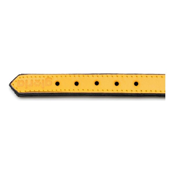 Hondenhalsband Gloria Gestoffeerd Geel (40 cm) (40 x 2 cm)