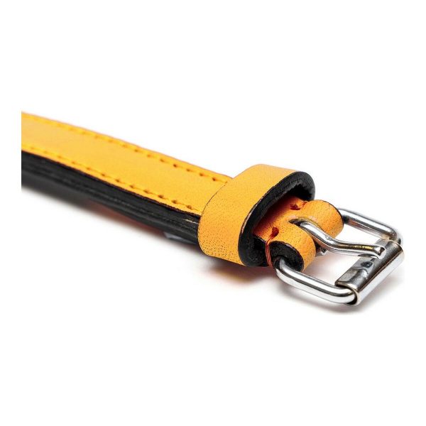 Hondenhalsband Gloria Gestoffeerd Geel (40 cm) (40 x 2 cm)