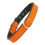 Hondenhalsband Gloria Gestoffeerd Oranje (45cm) (45 x 2 cm)