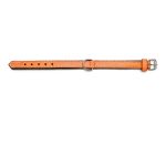 Hondenhalsband Gloria Gestoffeerd Oranje (45cm) (45 x 2 cm)