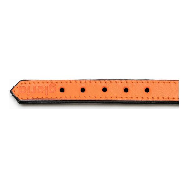 Hondenhalsband Gloria Gestoffeerd Oranje (45cm) (45 x 2 cm)