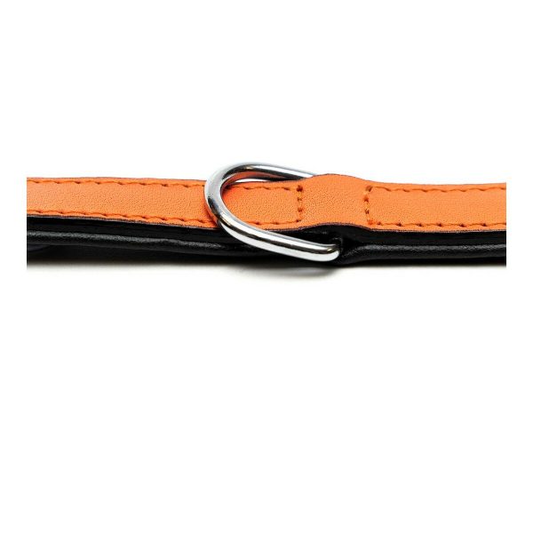 Hondenhalsband Gloria Gestoffeerd Oranje (45cm) (45 x 2 cm)