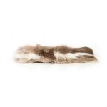Kattenspeeltje Gloria Eero Kussen (24 x 7 cm)