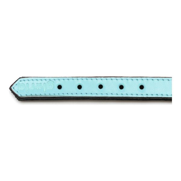 Hondenhalsband Gloria Gestoffeerd Blauw (35 cm) (35 x 1,5 cm)