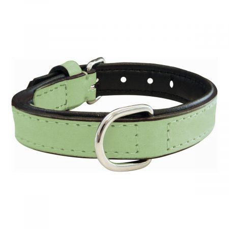 Hondenhalsband Gloria Gestoffeerd Groen (35 cm) (35 x 1,5 cm)