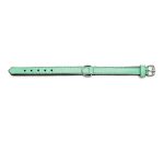 Hondenhalsband Gloria Gestoffeerd Groen (45 cm) (45 x 2 cm)
