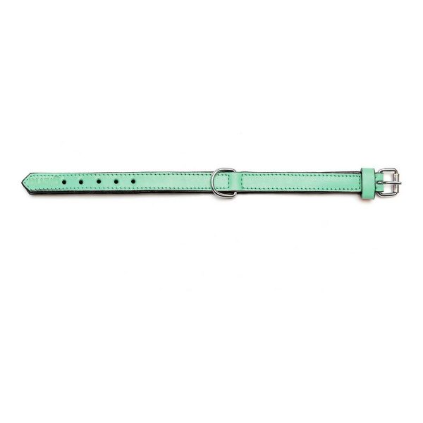 Hondenhalsband Gloria Gestoffeerd Groen (45 cm) (45 x 2 cm)