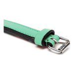 Hondenhalsband Gloria Gestoffeerd Groen (45 cm) (45 x 2 cm)