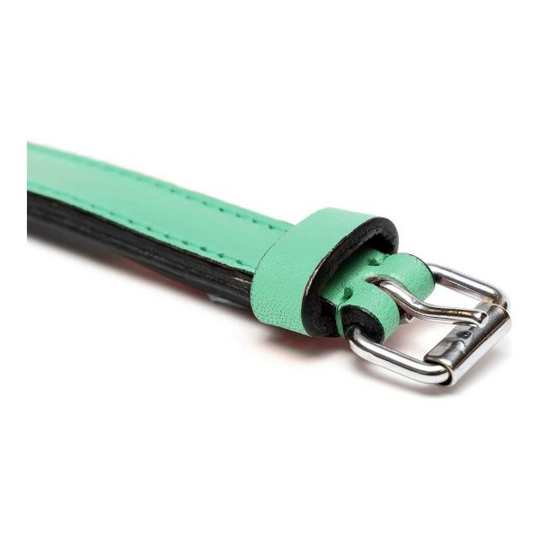 Hondenhalsband Gloria Gestoffeerd Groen (45 cm) (45 x 2 cm)