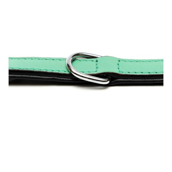 Hondenhalsband Gloria Gestoffeerd Groen (45 cm) (45 x 2 cm)